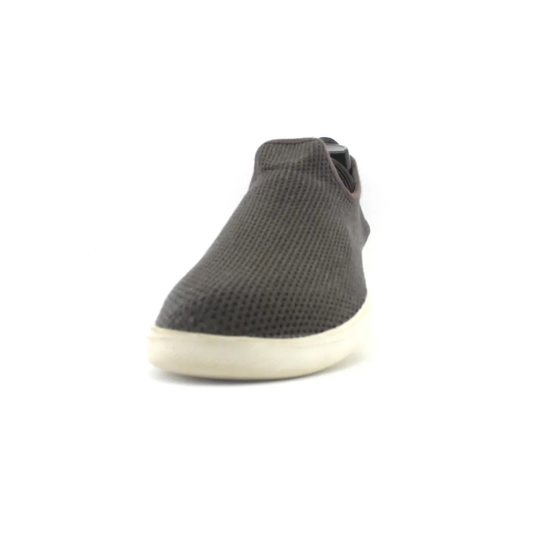 ALLBIRDS TREE LOUNGER