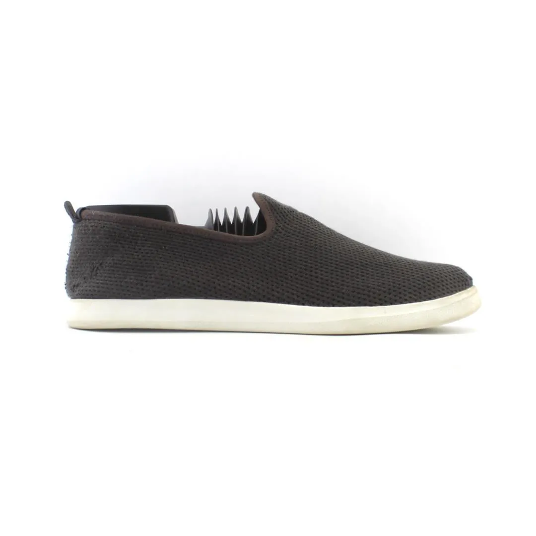 ALLBIRDS TREE LOUNGER