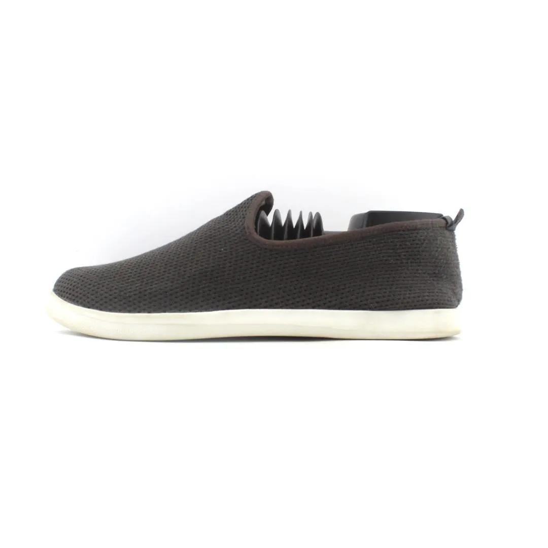 ALLBIRDS TREE LOUNGER